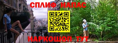 гидра Кимры