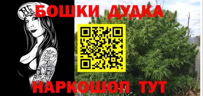 крисы Кинель