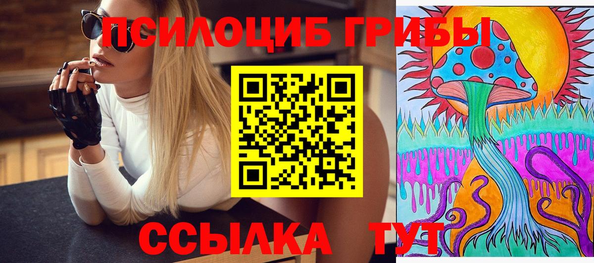 Галлюциногенные грибы Psilocybine cubensis Вологда